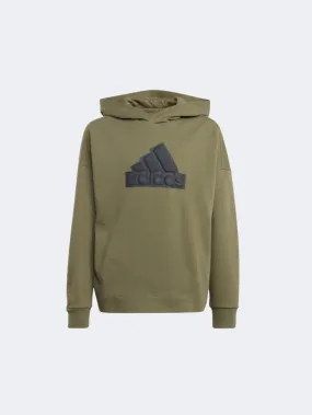 Adidas Future Icons Logo Kids-Boys Sportswear Hoody Olive Strata/Black