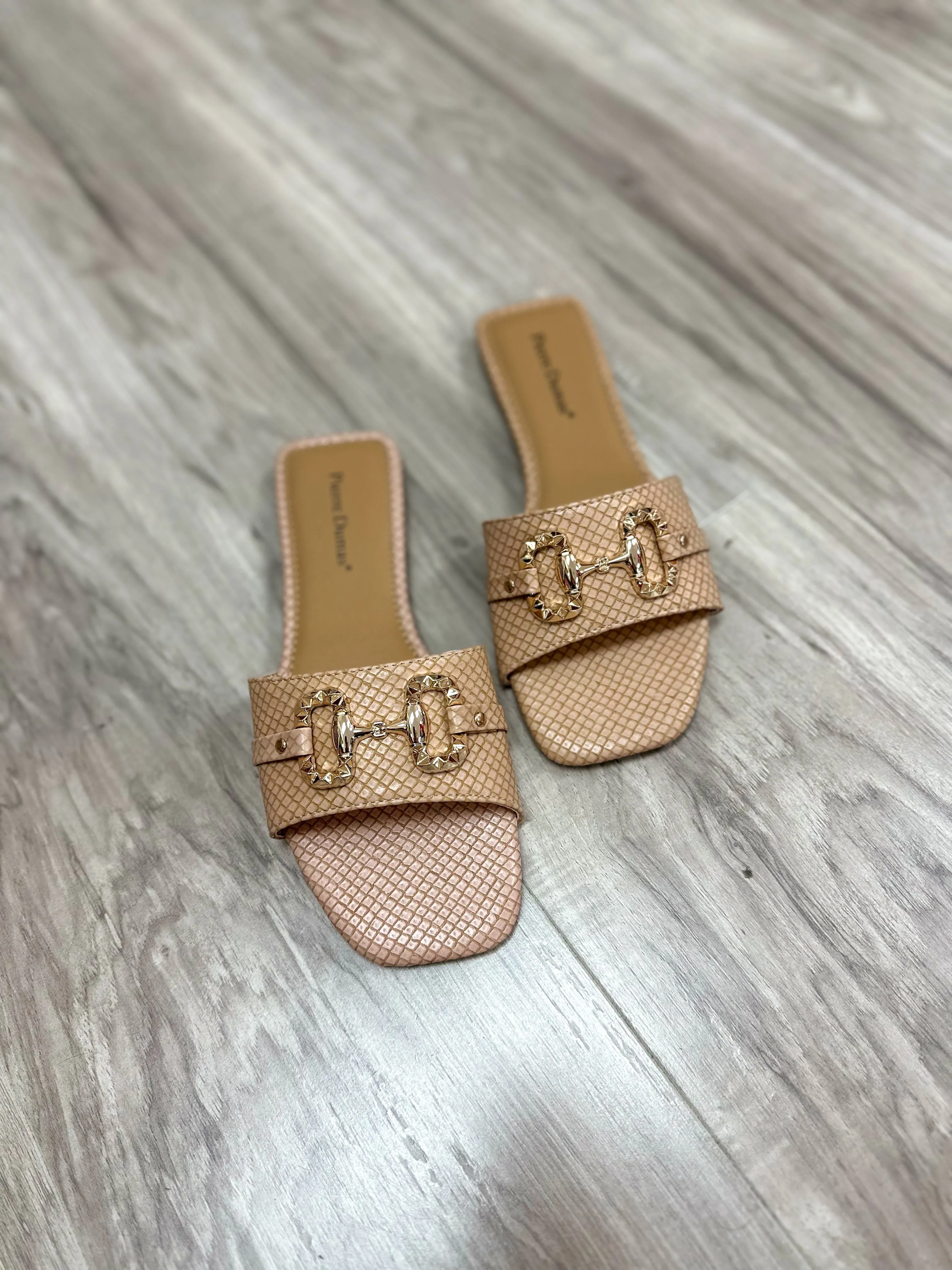 Classy & Sassy Sandals