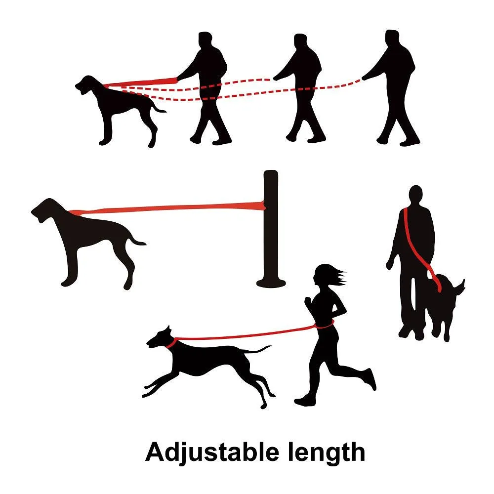 DOCO® Athletica Easy-Snap™ Air Dog Leash - 6ft