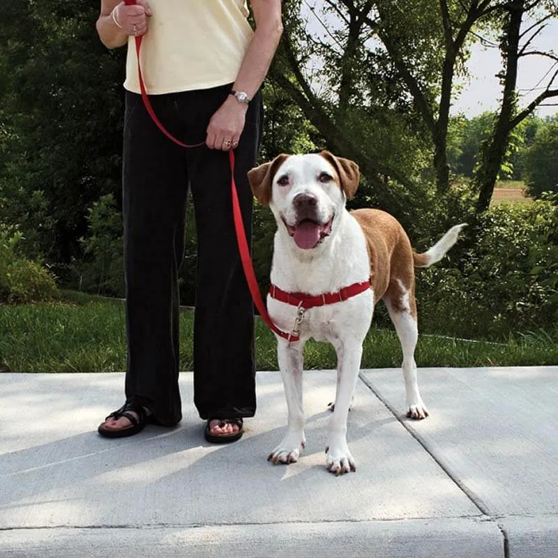 Easy Walk Harness Dog Harness: Stops Dog Pulling!