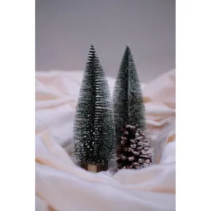 Jane Tabletop Christmas Tree With Frosting