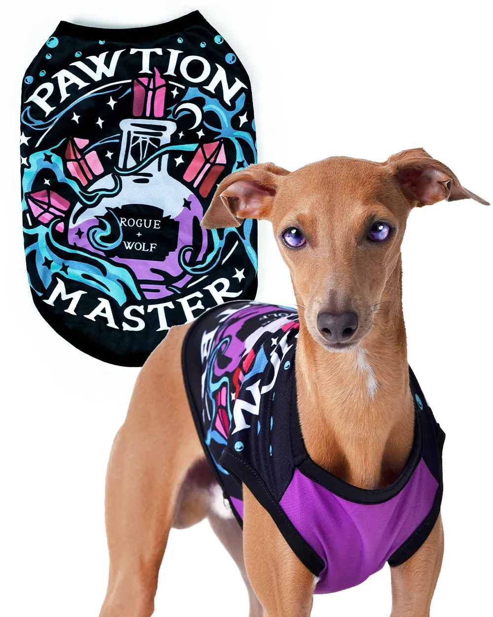 Pawtion Master Pet Vest - Dog or Cat